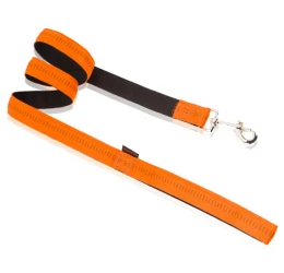 Οδηγός Pet Interest Με Επένδυση S (1,5cm X 120cm) Πορτοκαλί