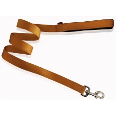 Οδηγός Pet Interest Με Επένδυση S (1,5cm X 120cm) Χρυσό