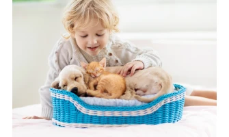 Δημιουργήστε το καλύτερο περιβάλλον για το κατοικίδιό σας