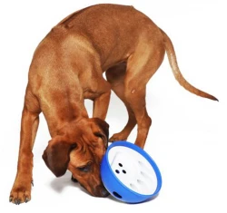 Nobby Kick N Feed Μπολ Φαγητού- Παιχνίδι 21cm