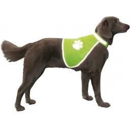 Nobby Γιλέκο Ασφαλείας Φωσφορίζoν Large Nobby Γιλέκο Ασφαλείας Φωσφορίζoν Large