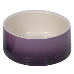 Nobby Κεραμικό Μπολ Gradient 550ml Μωβ Nobby Κεραμικό Μπολ Gradient 550ml Μωβ