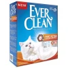 EVERCLEAN FAST ACTING 6LT ΓΑΤΕΣ