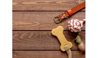 Έξυπνες λύσεις για ανέμελες ώρες διασκέδασης