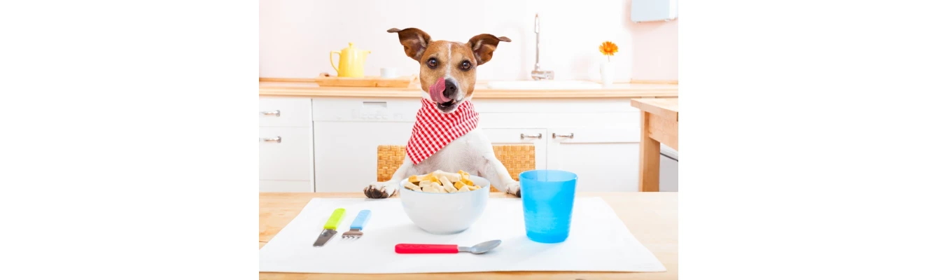 Τροφές σκύλου & γάτας για υγιή κατοικίδια!