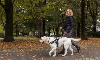 Βόλτα με σκύλο. 3 +1 must αξεσουάρ περιπάτου για σκύλους που πρέπει να έχετε πάντα μαζί σας!