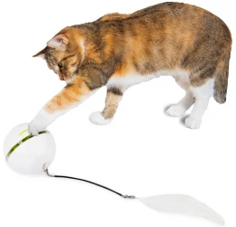 Διαδραστικό Παιχνίδι Γάτας AFP Rolling Laser Ball 6,5x6,5x6,5cm Διαδραστικό Παιχνίδι Γάτας AFP Rolling Laser Ball 6,5x6,5x6,5cm