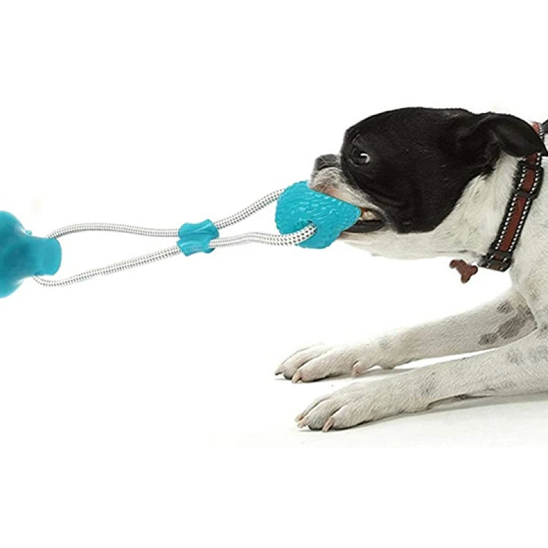 Παιχνίδι σκύλου Pawise Suction Ball 40cm ΣΚΥΛΟΙ