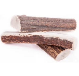 Κέρατο Ελαφιού Wildz Antler Chew S Easy 10cm - 35gr Κέρατο Ελαφιού Wildz Antler Chew S Easy 10cm - 35gr