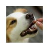 Ημι - Υγρές Λιχουδιές Σκύλου Akinu Soft Bones 500gr ΣΚΥΛΟΙ