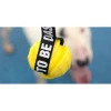 Παιχνίδι Σκύλου Εκπαιδευτικό Dashi Playtime Connection Yellow Tpr Ball 8x35cm ΣΚΥΛΟΙ