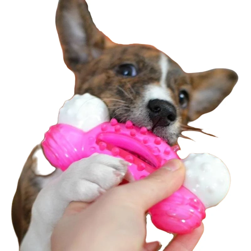 Παιχνίδι Σκύλου Akinu Dental Bone Strong Nylon 10cm Ροζ ΣΚΥΛΟΙ