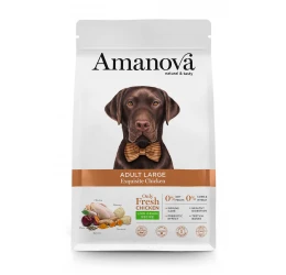 Ξηρά Τροφή Σκύλου Amanova Adult Large Exquisite Chicken 12kg με Κοτόπουλο Ξηρά Τροφή Σκύλου Amanova Adult Large Exquisite Chicken 12kg με Κοτόπουλο