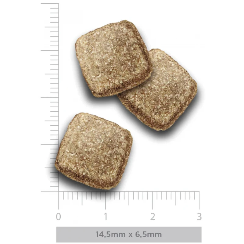 Ξηρά Τροφή Σκύλου Amanova Adult Mature Fish 10kg με Λευκά Ψάρια Σκύλοι