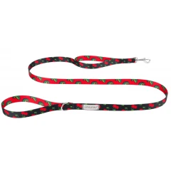 Λουρί, Οδηγός Σκύλου Amiplay Be Happy Cherry M 2x150cm