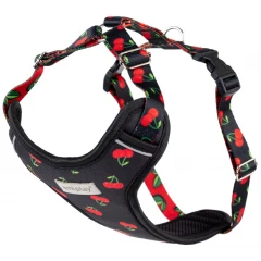 Σαμαράκι Σκύλου Amiplay Harness Discovery Be Happy Cherry Large 45-65cm