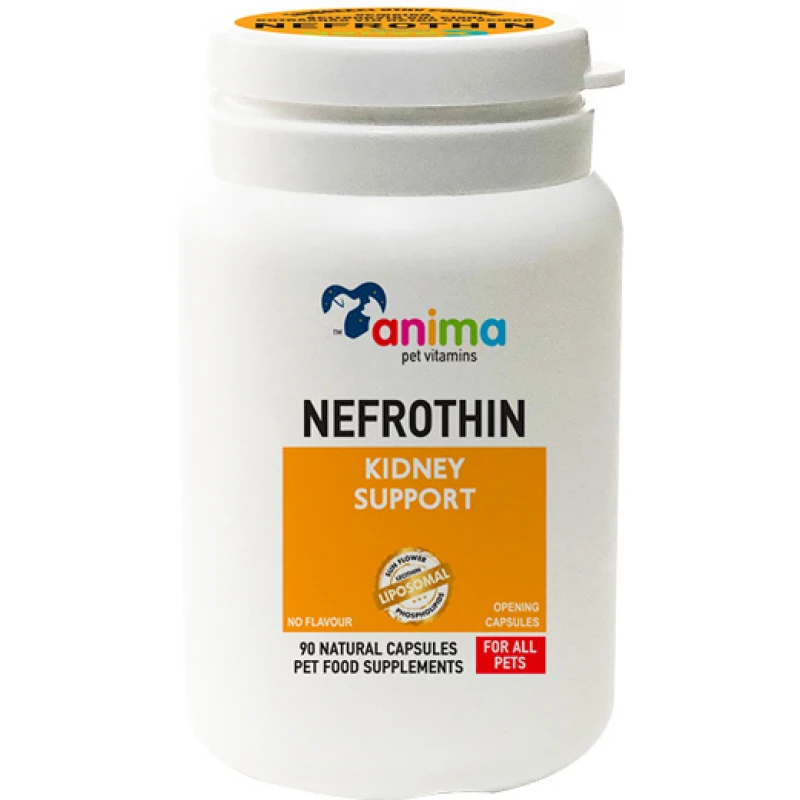 Συμπλήρωμα Διατροφής Anima Pet Nefrothin 90 Κάψουλες για Σκύλους και Γάτες Σκύλοι Συμπλήρωμα Διατροφής Anima Pet Nefrothin 90 Κάψουλες για Σκύλους και Γάτες Σκύλοι