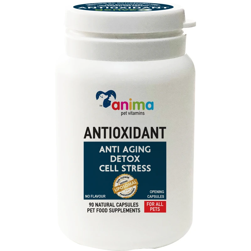 Συμπλήρωμα Διατροφής Anima Pet Vitamin Antioxidant 90 Κάψουλες για Σκύλους και Γάτες ΓΑΤΕΣ