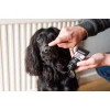 Προστατευτική Κρέμα Σκύλου Animology Paws & Nose Balm 50ml Σκύλοι