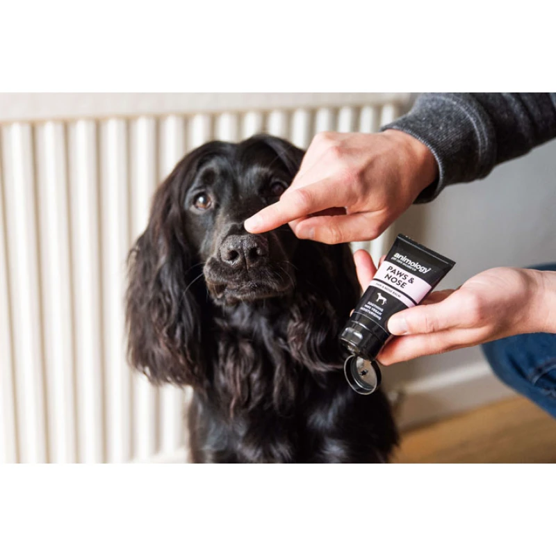 Προστατευτική Κρέμα Σκύλου Animology Paws & Nose Balm 50ml Σκύλοι