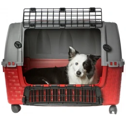 Κλουβί μεταφοράς Bama Easy Tour Red 88x52x60cm Κλουβί μεταφοράς Bama Easy Tour Red 88x52x60cm