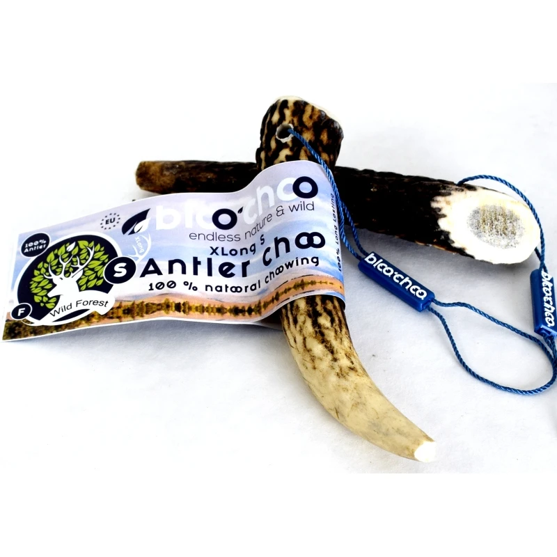 Κέρατο Ελαφιού BlooChoo Antler Small Full Xlong 30-60gr ΛΙΧΟΥΔΙΕΣ & ΚΟΚΑΛΑ