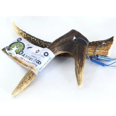 Κέρατο Ελαφιού BlooChoo Antler Small Full Xlong 25-50gr Κέρατο Ελαφιού BlooChoo Antler Small Full Xlong 25-50gr