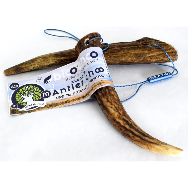 Κέρατο Ελαφιού BlooChoo Antler Medium Full Xlong 50-80gr ΛΙΧΟΥΔΙΕΣ & ΚΟΚΑΛΑ