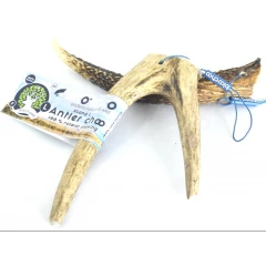 Κέρατο Ελαφιού BlooChoo Antler Large Full Xlong 75-90gr Κέρατο Ελαφιού BlooChoo Antler Large Full Xlong 75-90gr