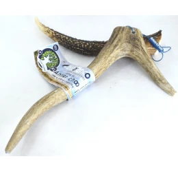Κέρατο Ελαφιού BlooChoo Antler XLarge Full Xlong 90-130gr Κέρατο Ελαφιού BlooChoo Antler XLarge Full Xlong 90-130gr