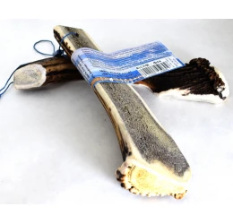 Κέρατο Ελαφιού BlooChoo Antler Half  XLarge+  130-180gr