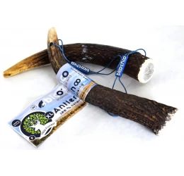 Κέρατο Ελαφιού BlooChoo Antler Full XLarge 100-130gr Κέρατο Ελαφιού BlooChoo Antler Full XLarge 100-130gr