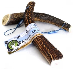 Κέρατο Ελαφιού BlooChoo Antler Full XLarge+  130-180gr