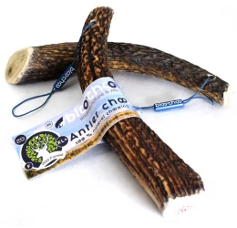 Κέρατο Ελαφιού BlooChoo Antler Full XLarge+  130-180gr