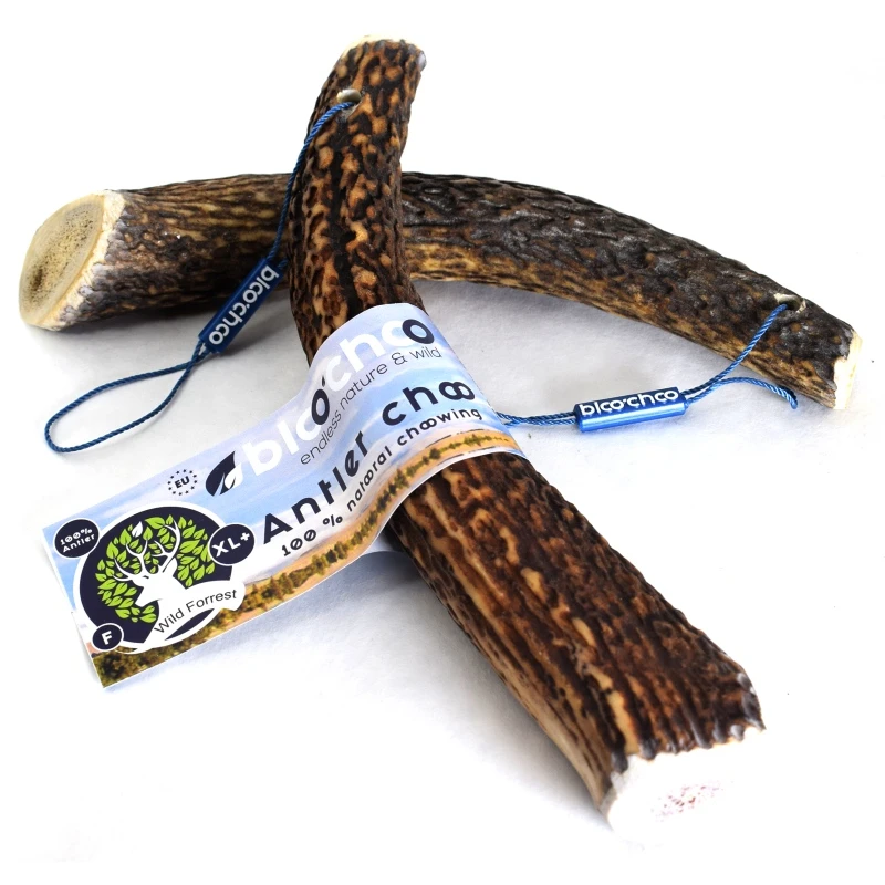 Κέρατο Ελαφιού BlooChoo Antler Full XLarge+  140-180gr ΛΙΧΟΥΔΙΕΣ & ΚΟΚΑΛΑ