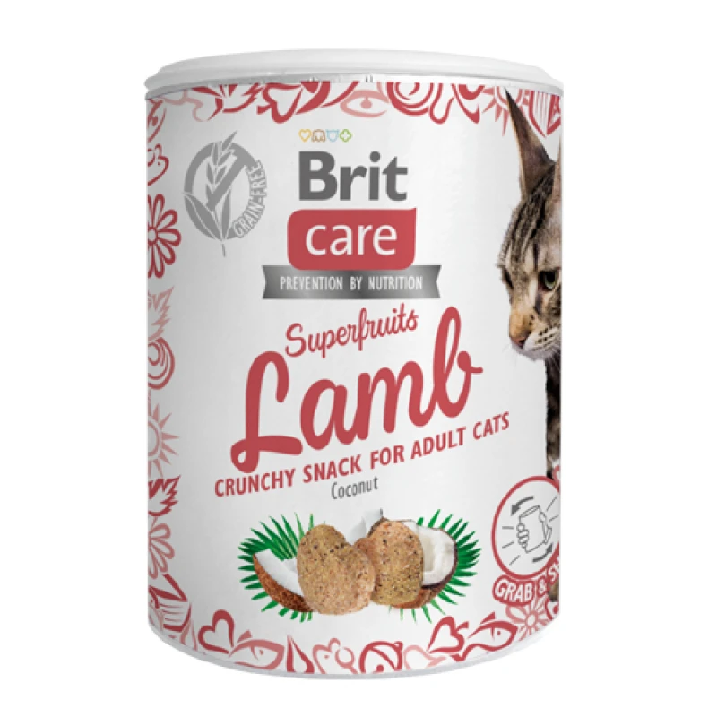 Λιχουδιές Brit Care Cat Superfruit Lamb 100gr ΓΑΤΕΣ
