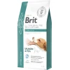 Ξηρά Τροφή Σκύλου Brit Veterinary Care Dog Grain Free Sterilised Salmon & Pea 12kg ΣΚΥΛΟΙ