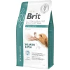 Ξηρά Τροφή Σκύλου Brit Veterinary Care Dog Grain Free Sterilised Salmon & Pea 2kg ΣΚΥΛΟΙ