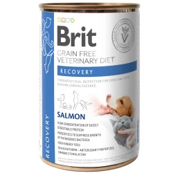 Υγρή Τροφή για Σκύλους και Γάτες Brit Veterinary Diet Recovery with Salmon 400gr Υγρή Τροφή για Σκύλους και Γάτες Brit Veterinary Diet Recovery with Salmon 400gr