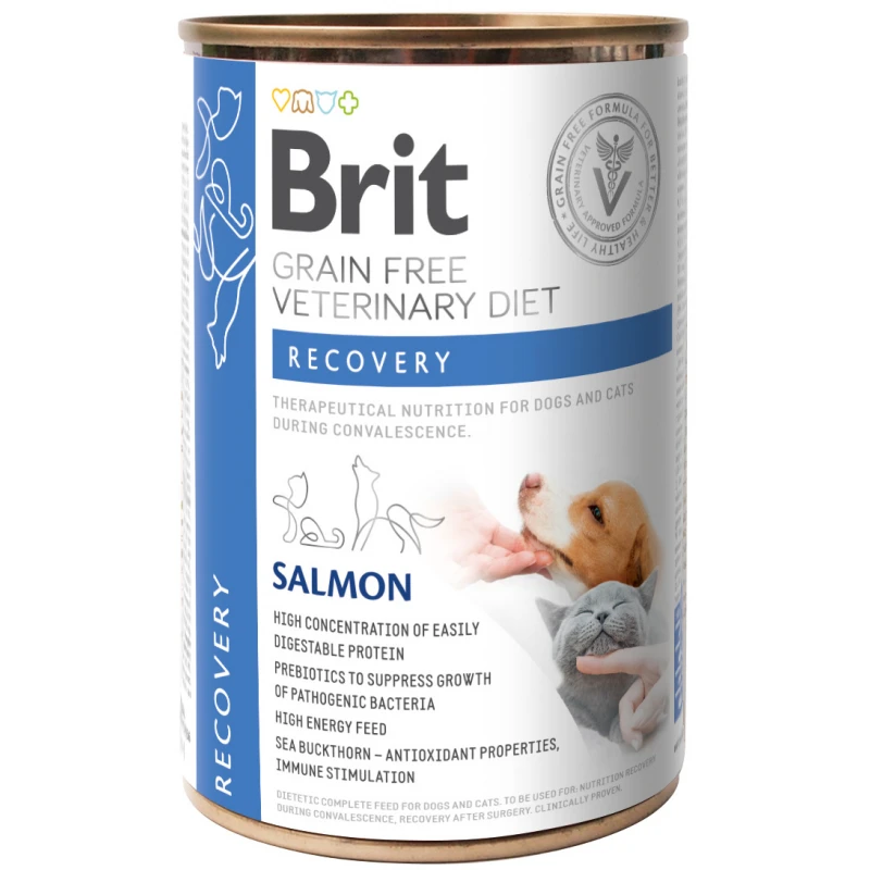 Υγρή Τροφή για Σκύλους και Γάτες Brit Veterinary Diet Recovery with Salmon 400gr ΣΚΥΛΟΙ