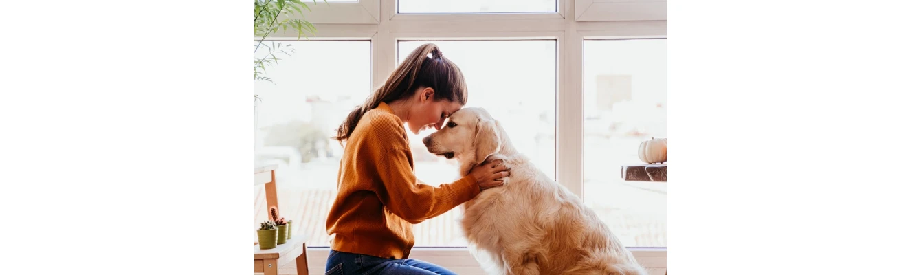 Σκύλοι συντροφιάς και θεραπευτικά σκυλιά: Ο πιστός φίλος πάντοτε κοντά μας