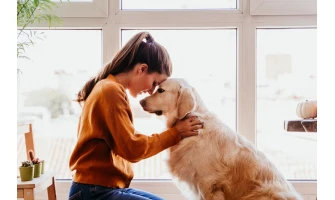 Σκύλοι συντροφιάς και θεραπευτικά σκυλιά: Ο πιστός φίλος πάντοτε κοντά μας