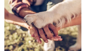 Οι πιο αξιαγάπητες ράτσες σκύλων για μικρά παιδιά
