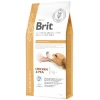Brit VD GF Dog Cardio-Renal 6kg Σκύλοι Brit VD GF Dog Cardio-Renal 6kg Σκύλοι