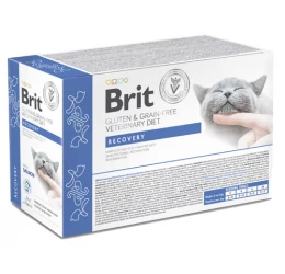 Brit VD Grain Free Cat Fillets in Gravy Recovery Φακελάκια 12x85gr Brit VD Grain Free Cat Fillets in Gravy Recovery Φακελάκια 12x85gr