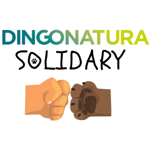 SOLIDARY DINGONATURA