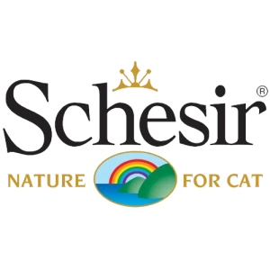 Schesir