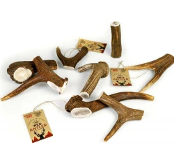 Κέρατο Ελαφιού Celebrate Freshness Red Deer Antler 2XL 160-210gr Κέρατο Ελαφιού Celebrate Freshness Red Deer Antler 2XL 160-210gr