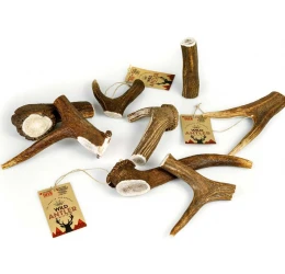 Κέρατο Ελαφιού Celebrate Freshness Red Deer Antler M 50-85gr Κέρατο Ελαφιού Celebrate Freshness Red Deer Antler M 50-85gr