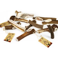 Κέρατο Ελαφιού Celebrate Freshness Red Deer Split Antler L 120-160gr Κέρατο Ελαφιού Celebrate Freshness Red Deer Split Antler L 120-160gr